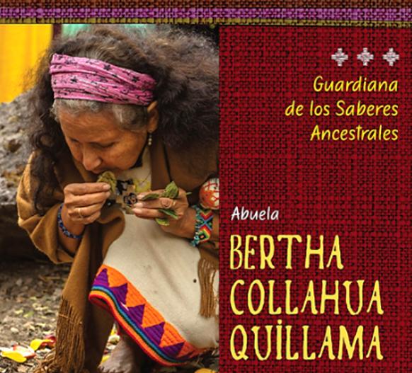 Bertha Collahua